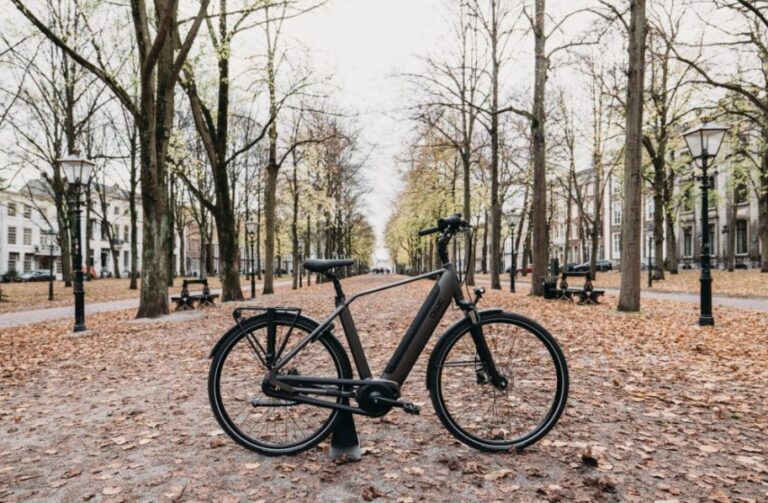 Profibike